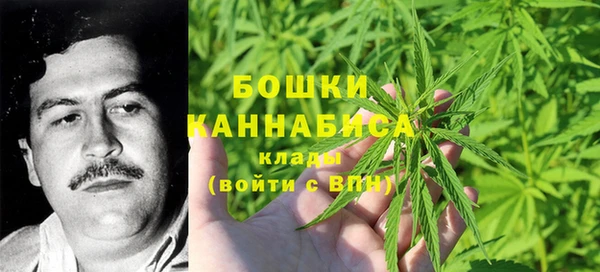 ALPHA-PVP Кинешма