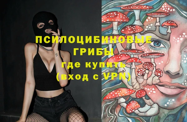 ALPHA-PVP Кинешма