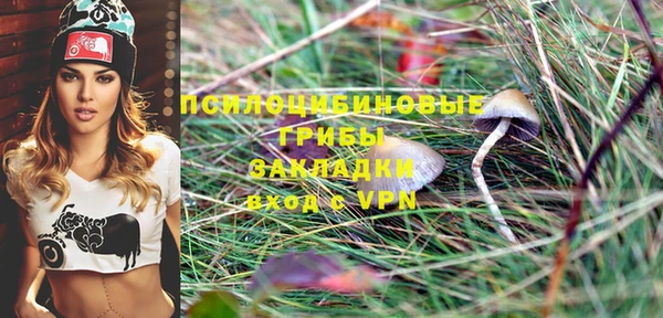 ALPHA-PVP Кинешма