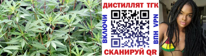 Дистиллят ТГК THC oil  цена   Лысково 