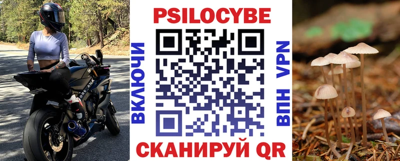 Галлюциногенные грибы мицелий  купить наркотики сайты  Лысково 